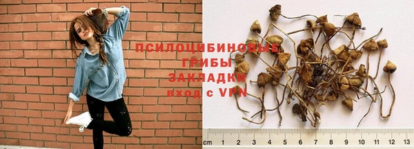 2c-b Абаза