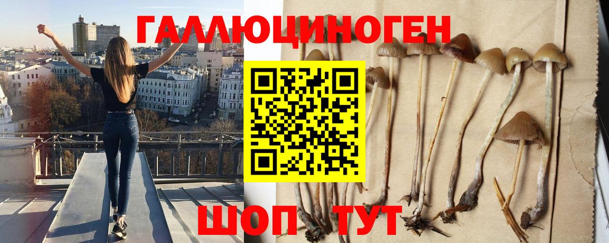 Псилоцибиновые грибы прущие грибы Зеленокумск