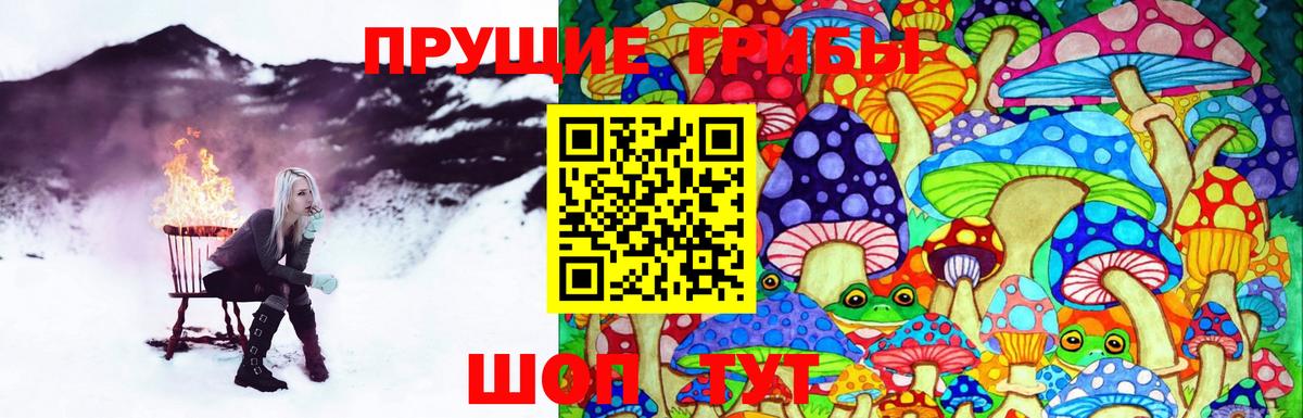Псилоцибиновые грибы Magic Shrooms  хочу наркоту  Зеленокумск  Псилоцибиновые грибы GOLDEN TEACHER  Вход с VPN 
